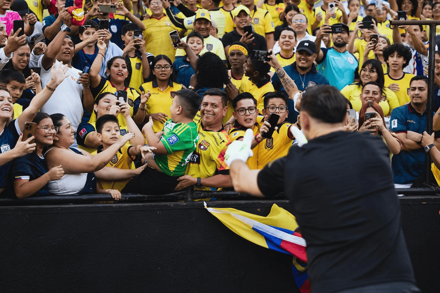 预选赛中位, Meo, amp