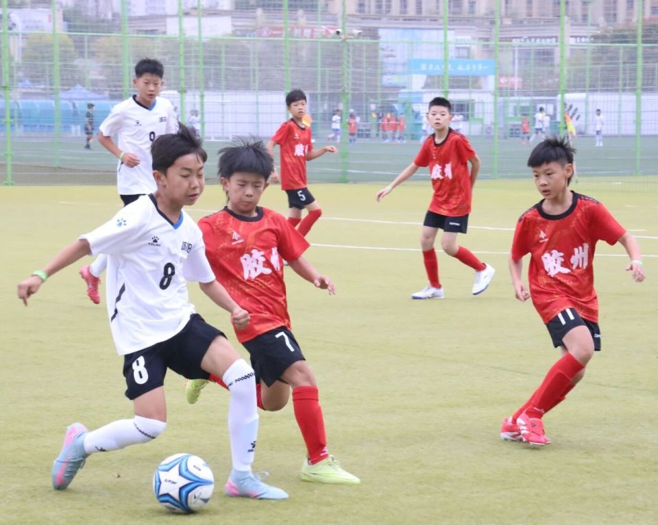 台崭露头角, 组赛程 台崭露头角, 组赛程