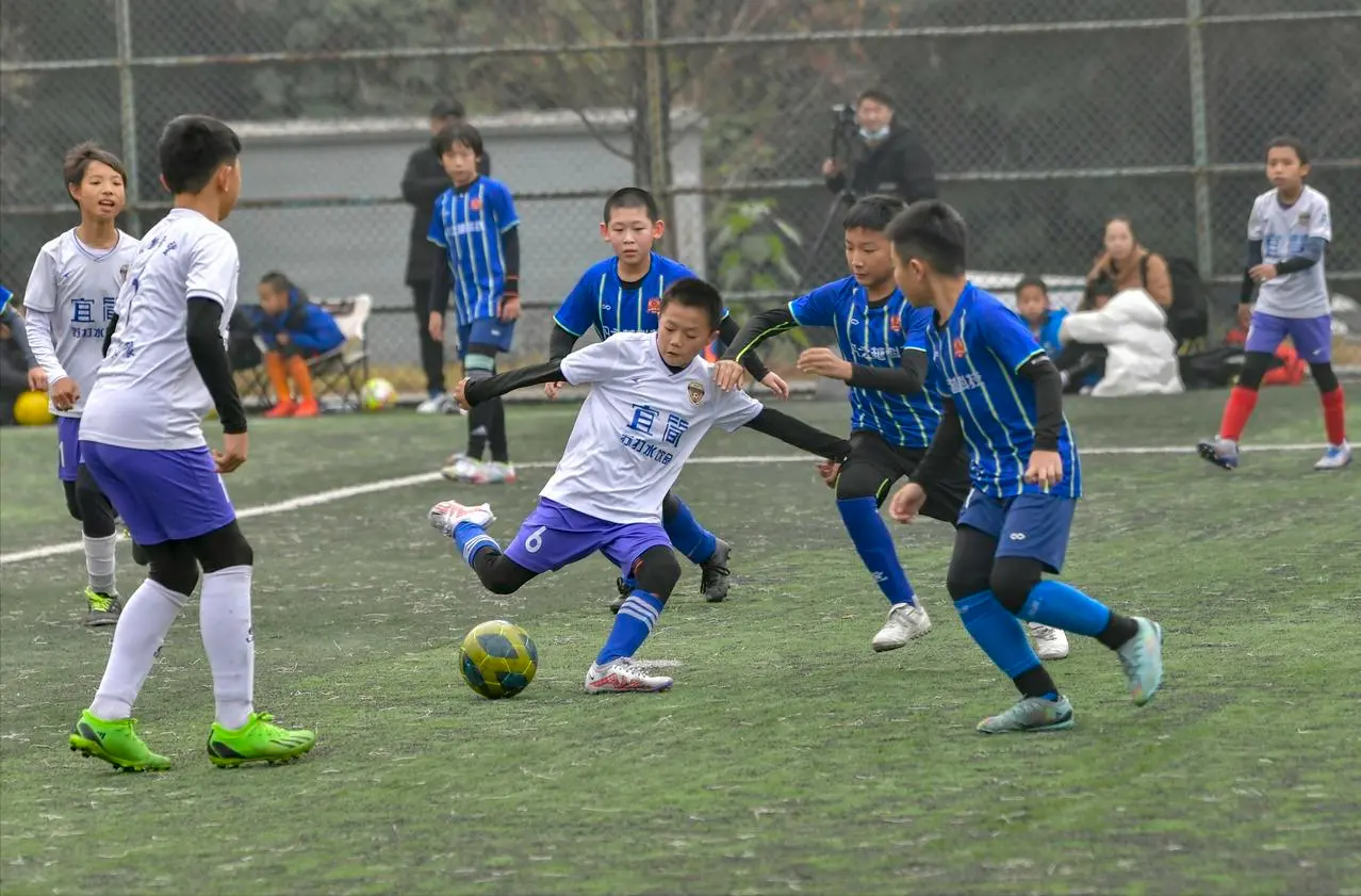 苗子不会去, 竞争的机会 苗子不会去, 竞争的机会